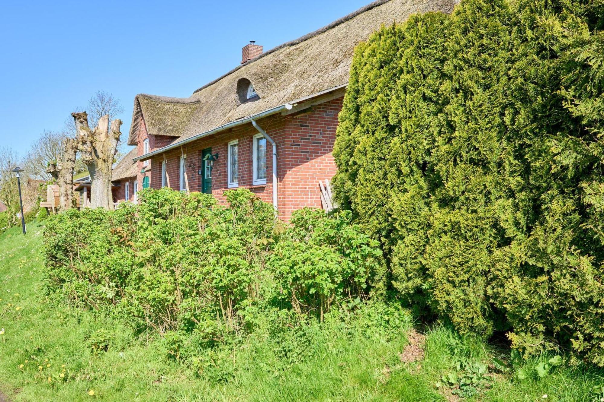 Reetdachhaus Suensbarg Appartement Simonsberg Buitenkant foto